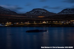 Sperm whale stranding Faroes Islands 23 November 16.55pm (c) Runi Nielsen
