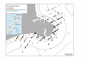 Hector's dolphin map (c) Otago University