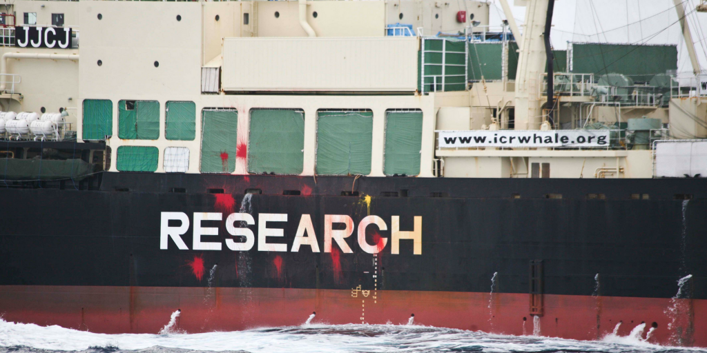 Japan's whaling fleet now has guaranteed funding into the future