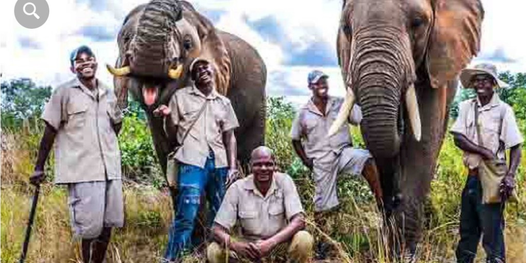 Happier times: Enock Kafandada, centre, was killed by Mbanje the elephant, left, at Victoria Falls. Photo / Adventure Zone