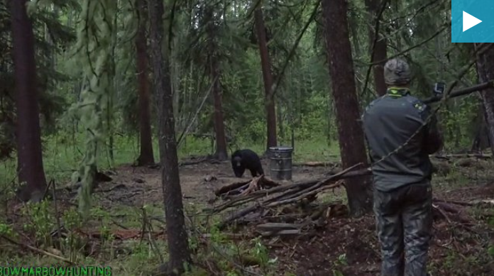 Bear Spearing wrong on so many levels