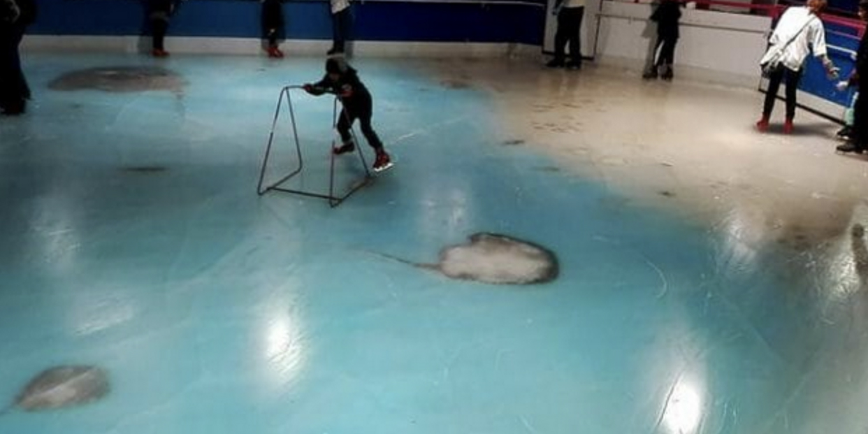 Backlash over Dead Fish Ice Rink
