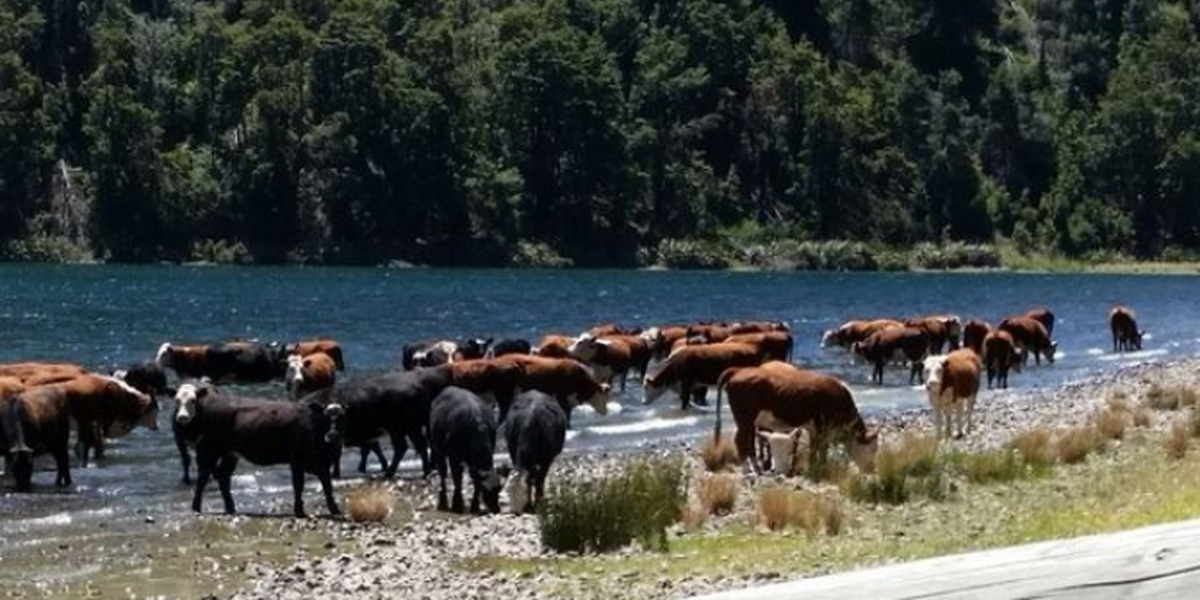 New Zealand’s Water Problems Just Starting