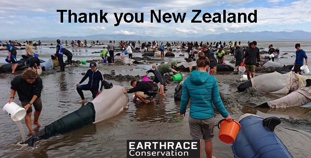 Massive Rescue Effort Underway