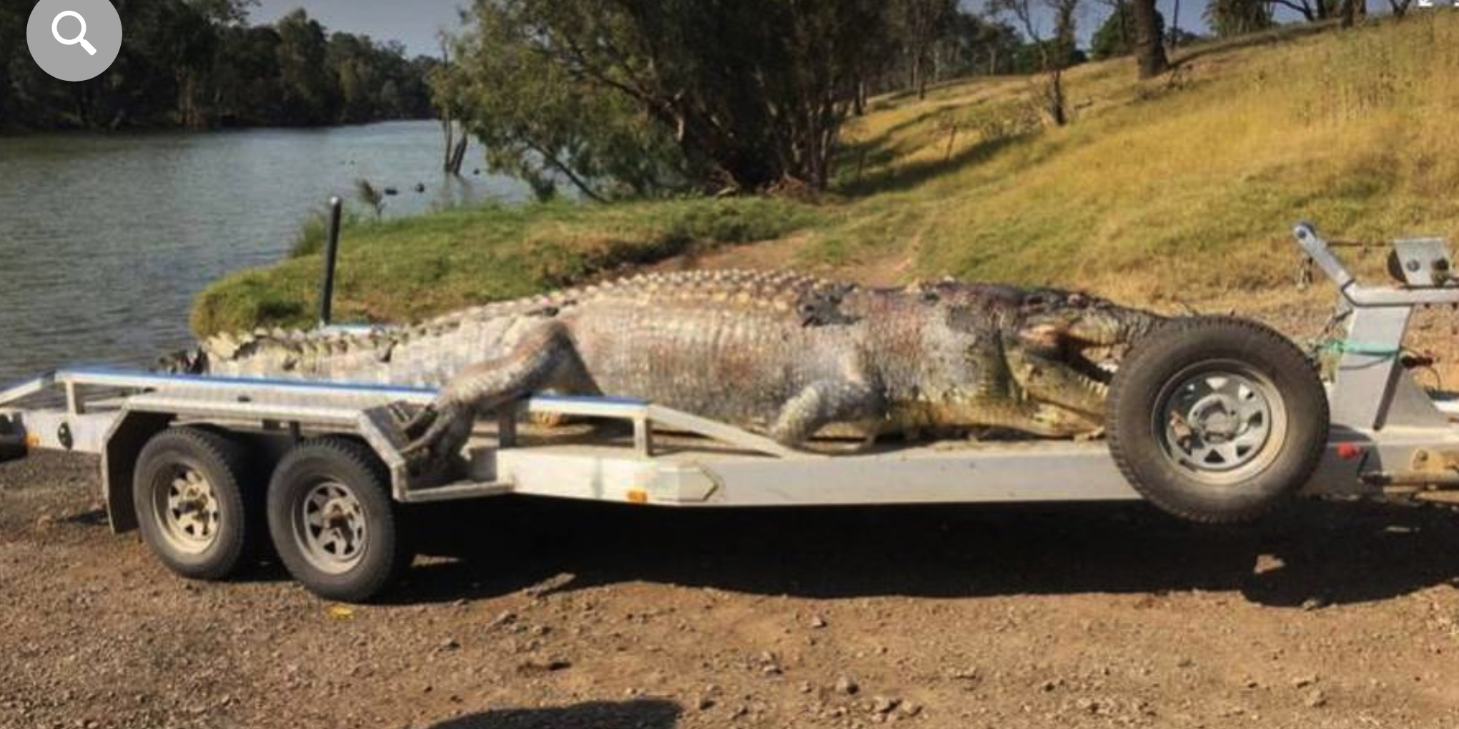 Aussies kill Monster Crocodile